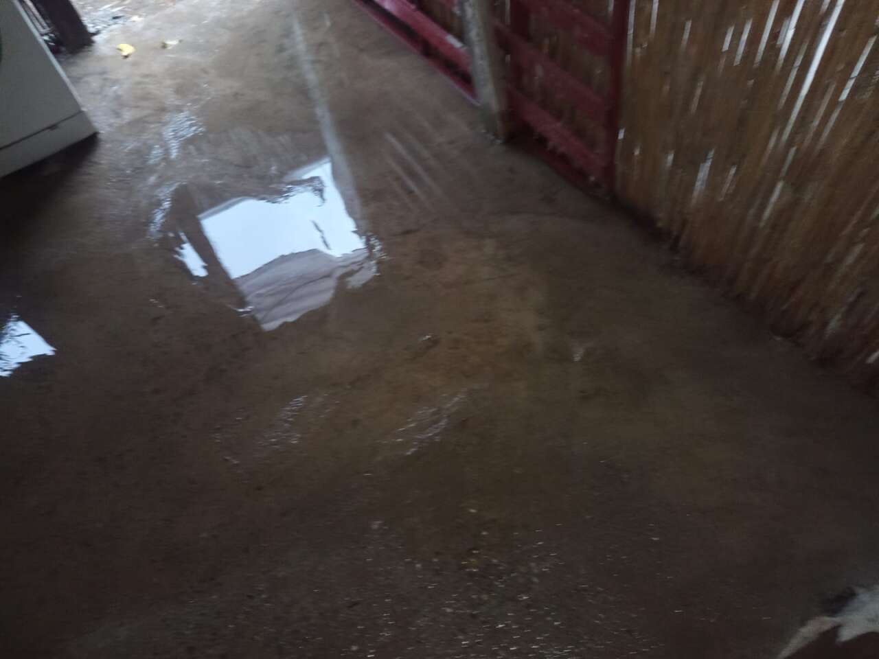 Ortaca’da Şiddet Mağduru Üç Çocuk Annesi Çadırda Yaşam Mücadelesi Veriyor 5